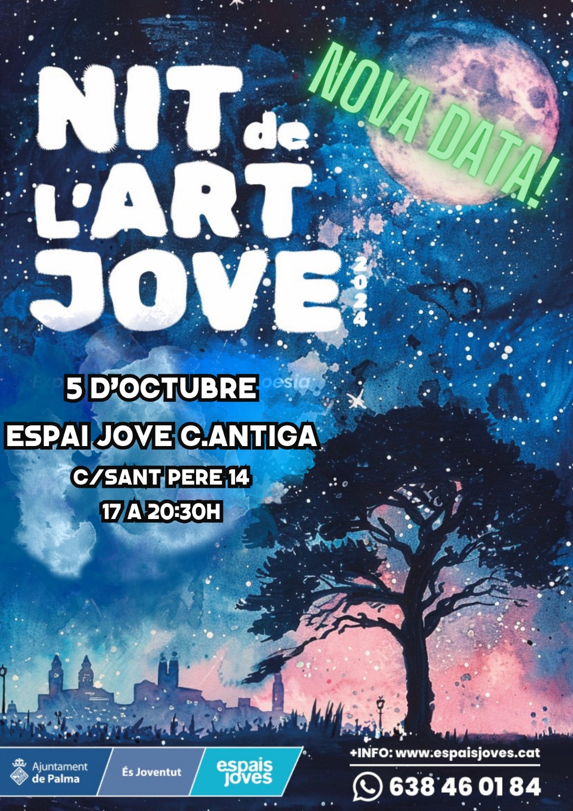 Nit de l'Art Jove